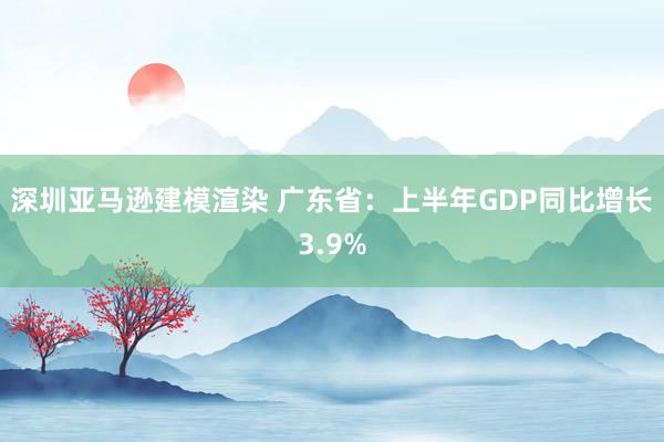 深圳亚马逊建模渲染 广东省：上半年GDP同比增长3.9%