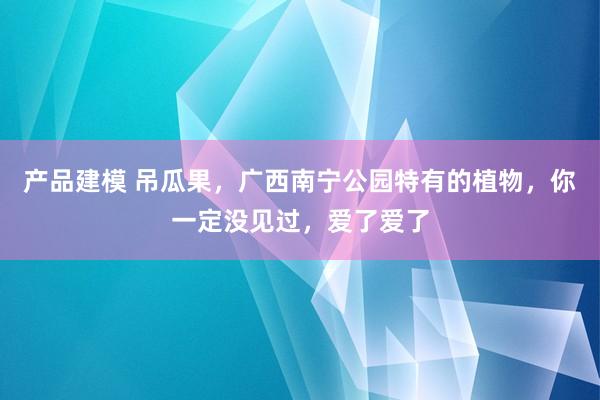 产品建模 吊瓜果，广西南宁公园特有的植物，你一定没见过，爱了爱了