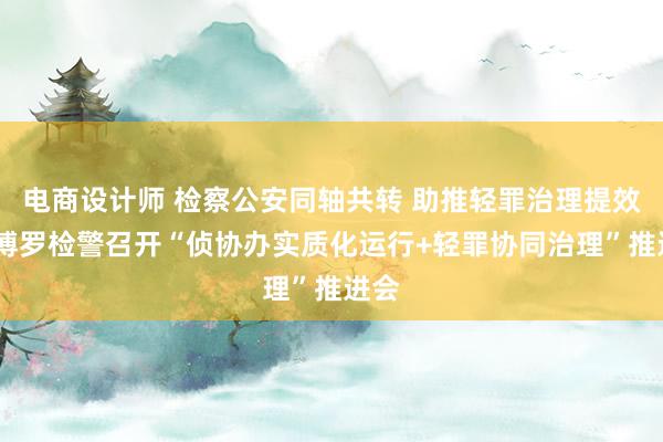 电商设计师 检察公安同轴共转 助推轻罪治理提效——博罗检警召开“侦协办实质化运行+轻罪协同治理”推进会