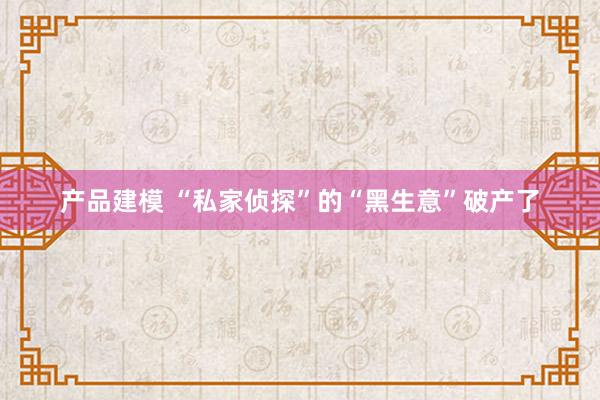 产品建模 “私家侦探”的“黑生意”破产了