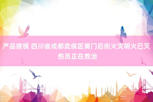 产品建模 四川省成都武侯区黉门后街火灾明火已灭 伤员正在救治